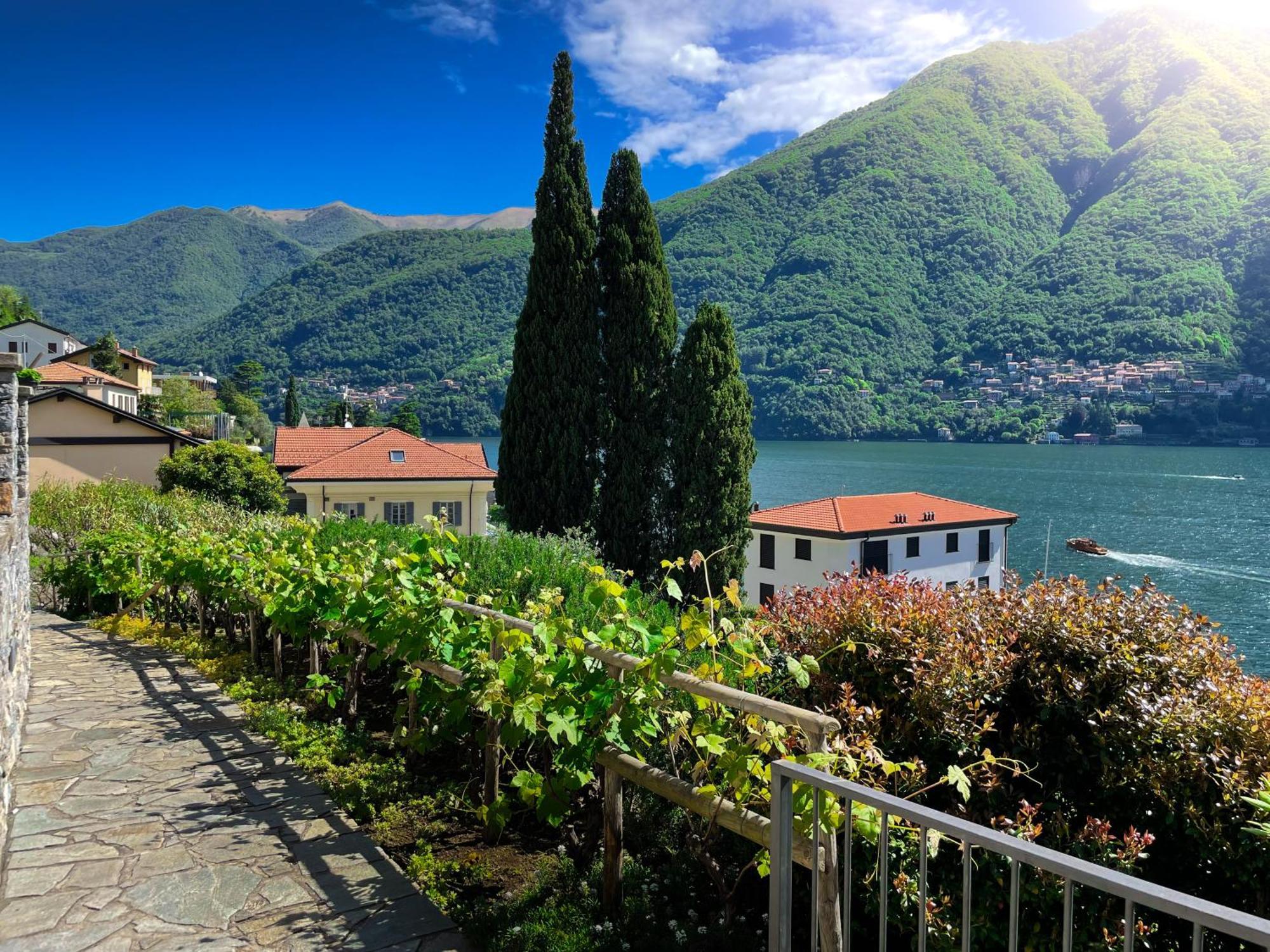 Villa Luminosa Laglio - Private Parking, Garden 外观 照片